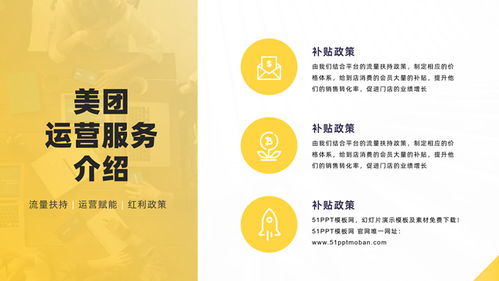 打造專業(yè)婚戀服務(wù)形象 軟件運營服務(wù)公司產(chǎn)品介紹PPT模板